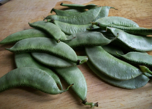 Sheem beans - Hyacinth Beans