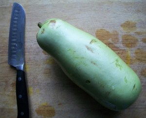Lau Doodhi Bottle Gourd
