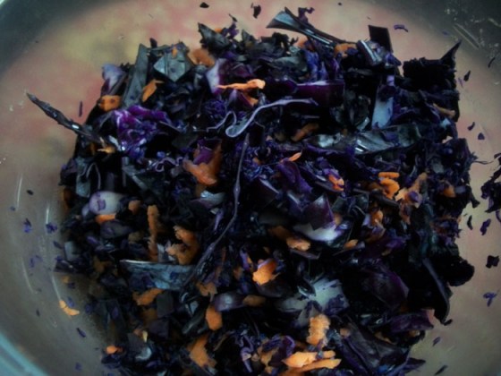 Red Cabbage