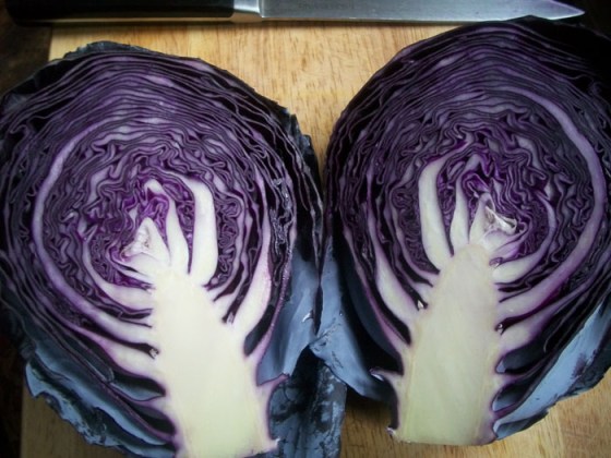 Red Cabbage - The Queen of Vegetalia