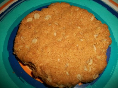 Little Aussie ANZAC Biscuit